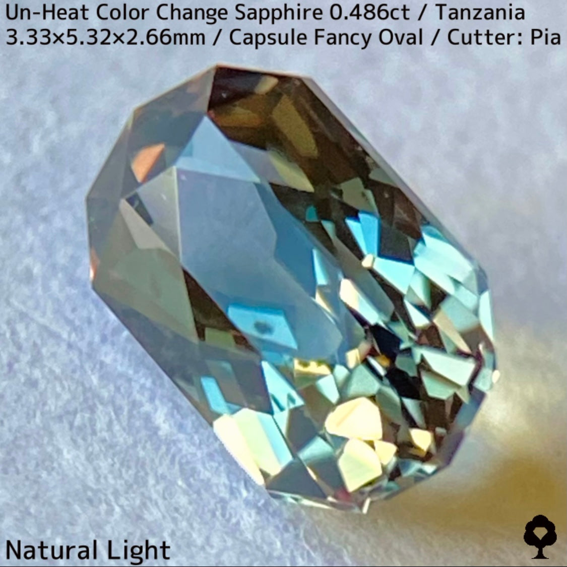 タンザニア産非加熱カラーチェンジサファイア0.486ct★深みの中に潜む多色感とゴールドシルクの銀河広がる