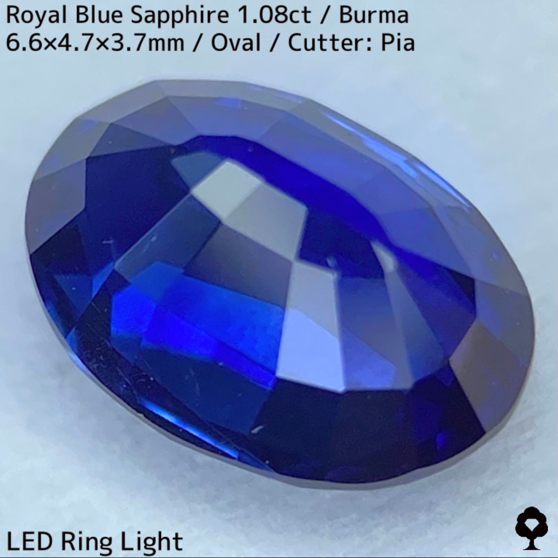 ビルマ産ロイヤルブルーサファイア1.08ct★濃厚だけど暗くない最高の色合いの1ctアップ美結晶ロイヤル