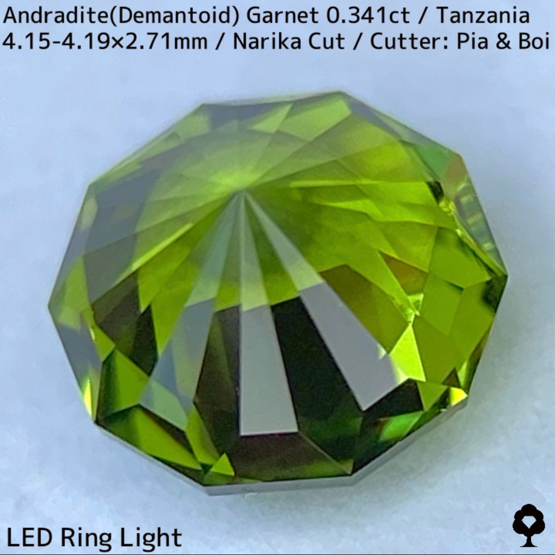 タンザニア産アンドラダイト(デマントイド)ガーネット0.341ct★希少産地の曇りなき美色美結晶の抜群カット