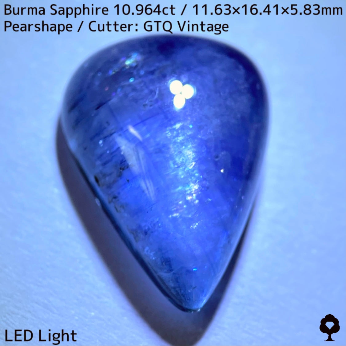ビルマ産サファイア10.964ct★煌めく虹インクルと実はキャッツが出るなど面白さ詰まった秘蔵品