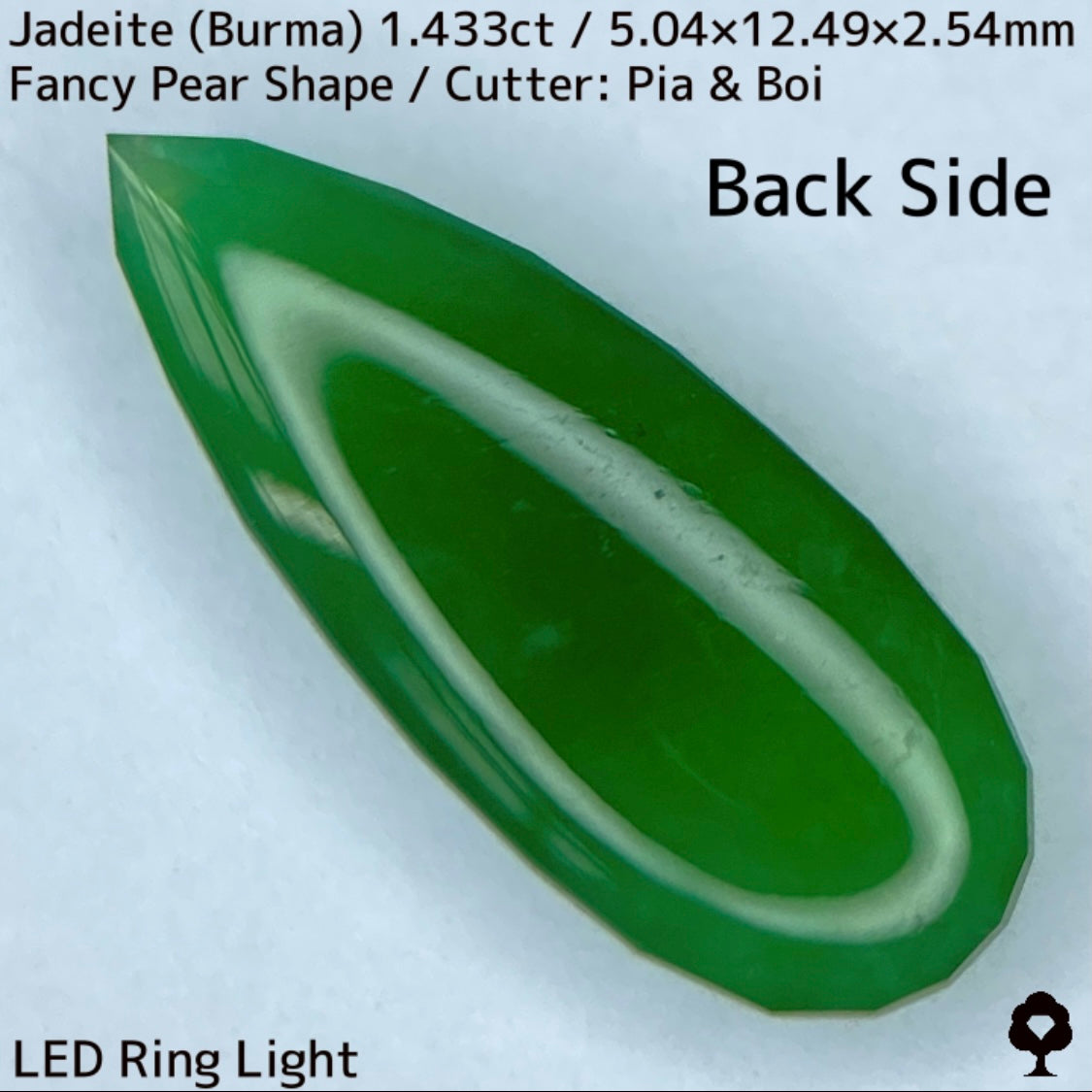 翡翠1.433ct★明るい美グリーンのマスターストーンはGTJならではのさりげなく輪郭が縁取られたツヤツヤファンシーペアシェイプ