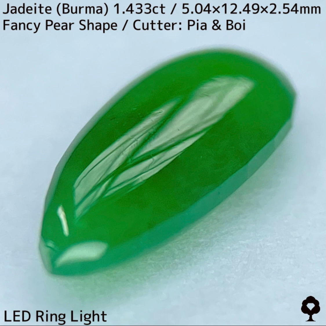 翡翠1.433ct★明るい美グリーンのマスターストーンはGTJならではのさりげなく輪郭が縁取られたツヤツヤファンシーペアシェイプ