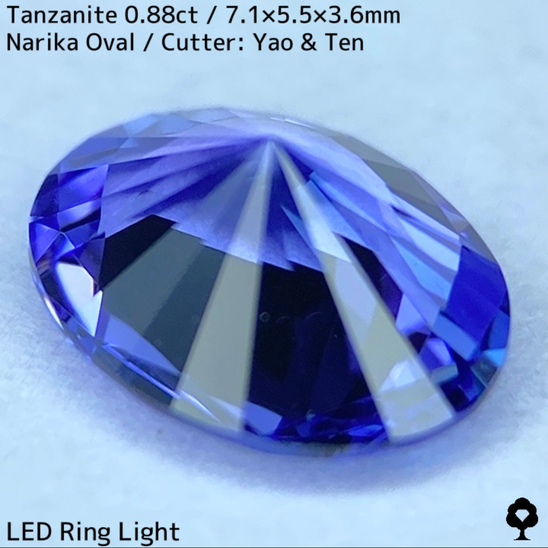 タンザナイト0.88ct★スタンダードオーバルにナリカーが映えるライラックとブルーのキレイなカラー