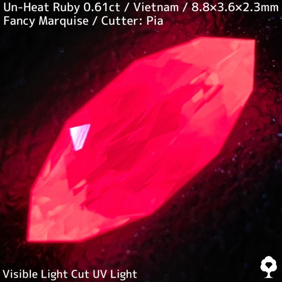 【ご当選者さま専用】ベトナム産非加熱ルビー0.61ct★凄まじいネオンカラー放つ超美結晶の色だまり感たまらない