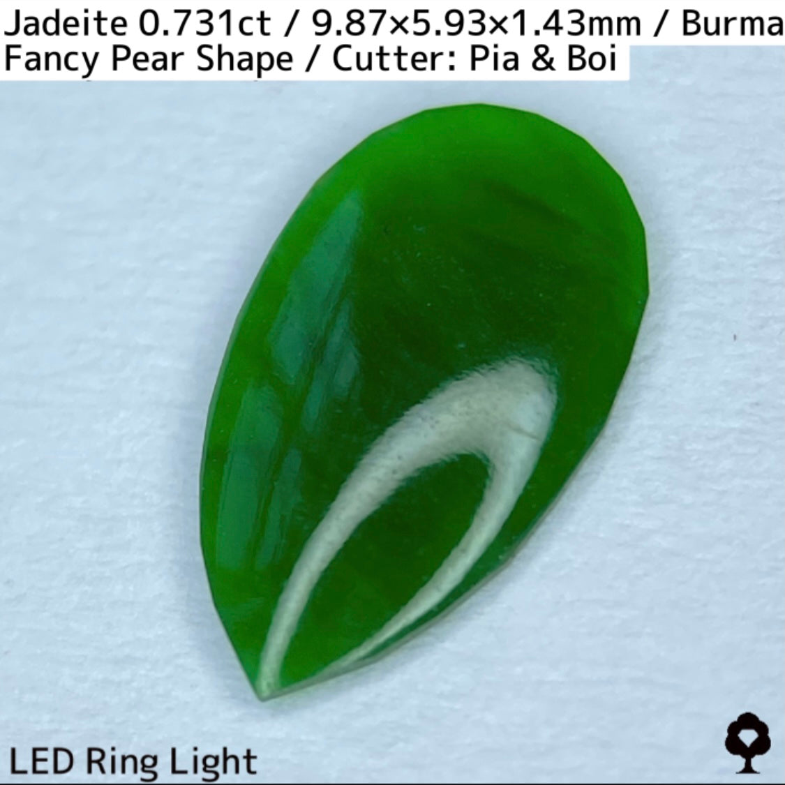 翡翠0.731ct★GTJ創業者大御所のセレクトのお手本翡翠に細やかな縁取り