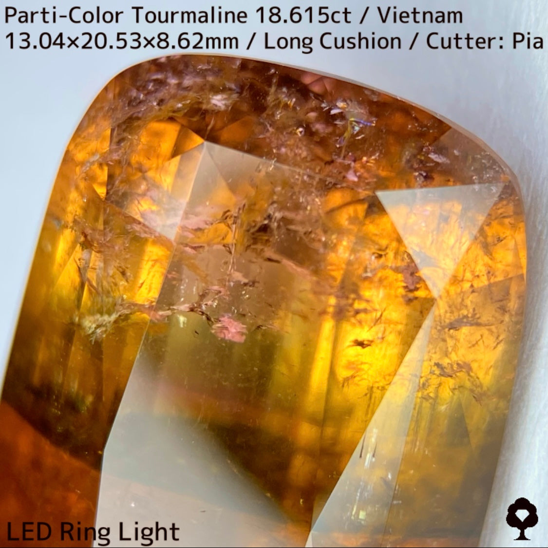 ベトナム産パーティカラートルマリン18.615ct★金屏風桜と夜桜を一石で楽しめる趣深いベトナム巨石