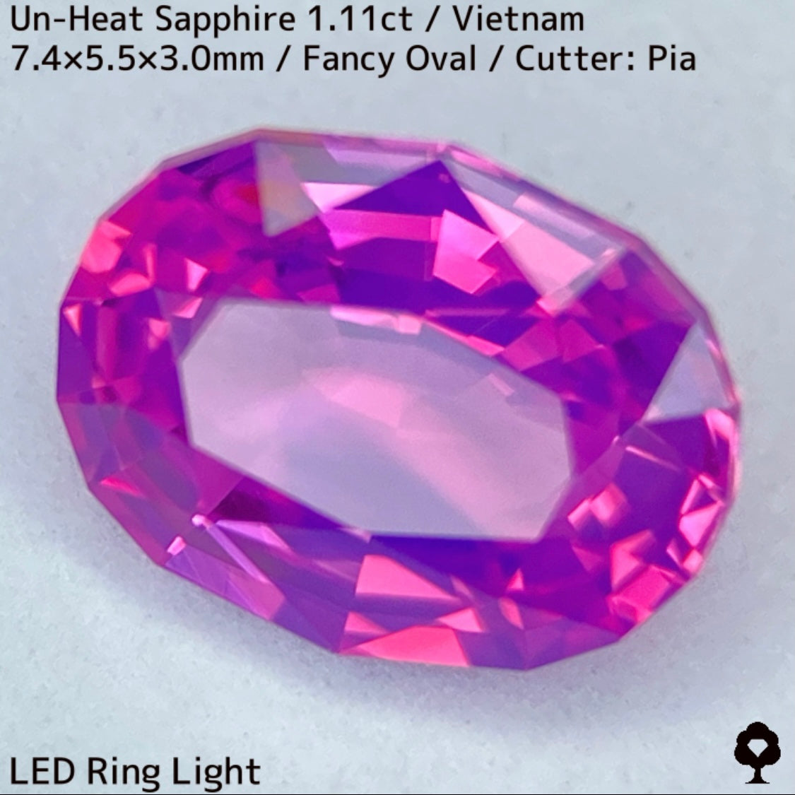 ベトナム産非加熱サファイア1.11ct