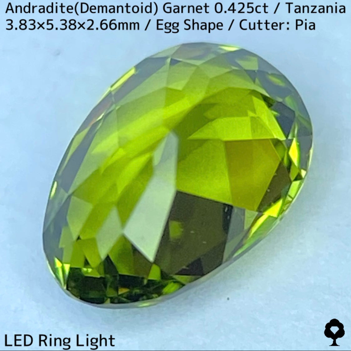 タンザニア産アンドラダイト(デマントイド)ガーネット0.425ct★程よい濃さの美グリーンから煌めき止まらないキュートなエッグシェイプ
