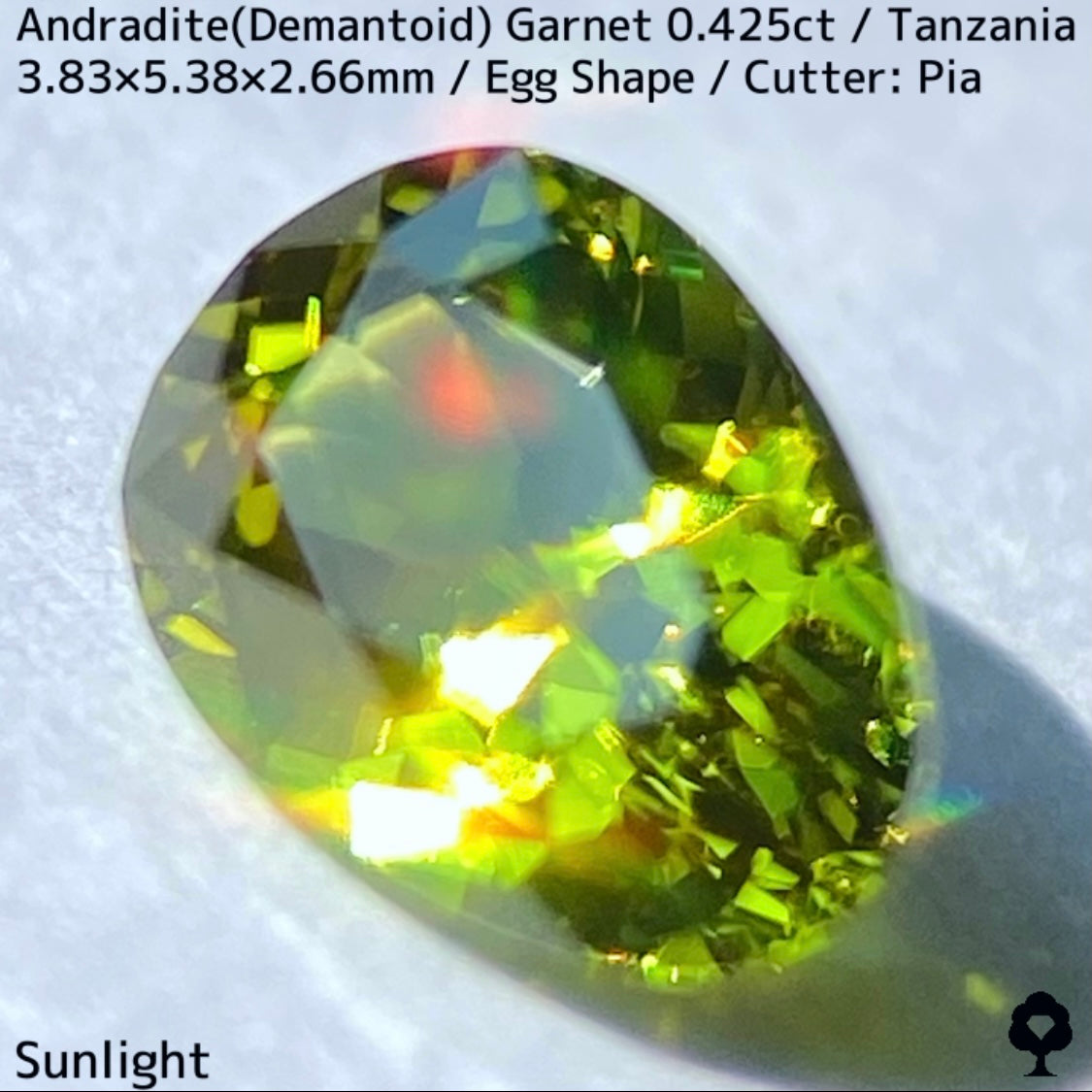 タンザニア産アンドラダイト(デマントイド)ガーネット0.425ct★程よい濃さの美グリーンから煌めき止まらないキュートなエッグシェイプ