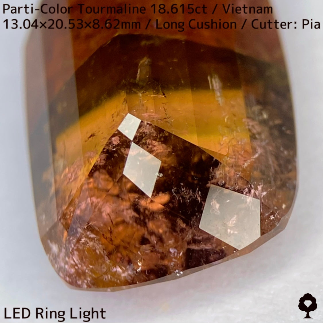 ベトナム産パーティカラートルマリン18.615ct★金屏風桜と夜桜を一石で楽しめる趣深いベトナム巨石