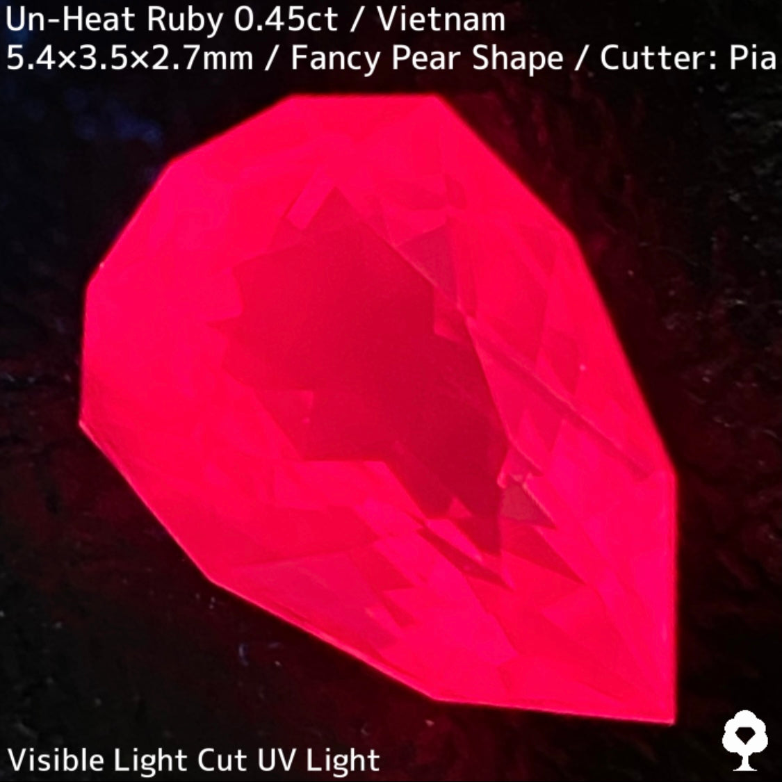 【ご当選者さま専用】ベトナム産非加熱ルビー0.45ct★強烈なネオンの煌めき放つ一級品質の超美色美結晶★コランダムフォーカスプライス