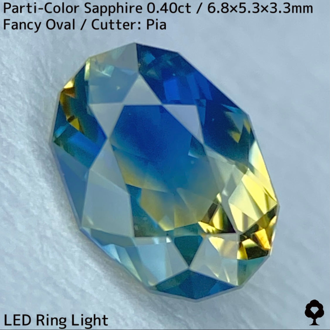 カンチャナブリー産パーティカラーサファイア0.40ct★鮮やかなイエローにシルキーブルーの色だまり