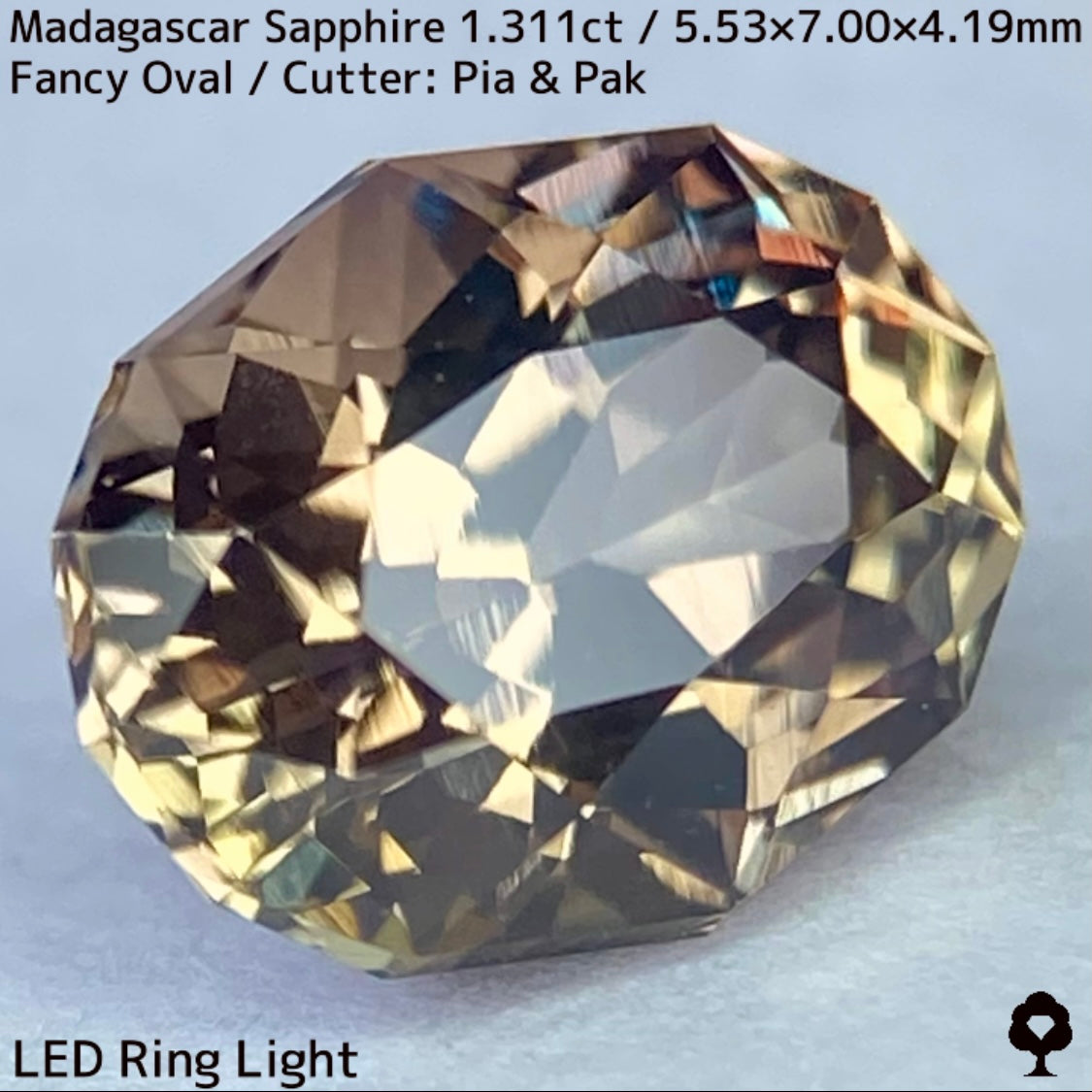 マダガスカル産サファイア1.311ct★ダンディな多色感たまらない成長が絵画のような一石