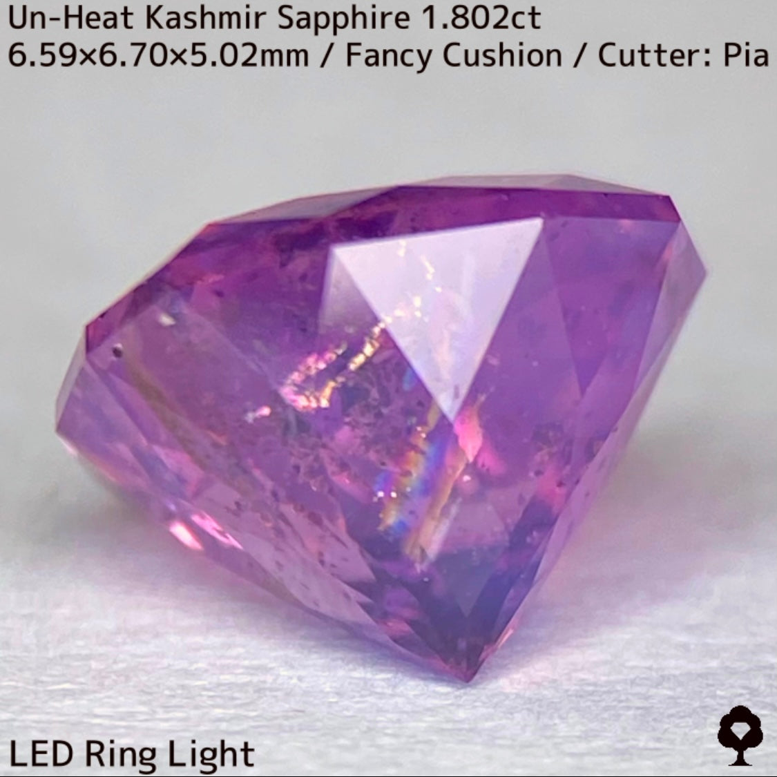 パキスタン産非加熱カシミールサファイア1.802ct★希産カシミールのらしさ全開の名品を色んな光源で楽しんで