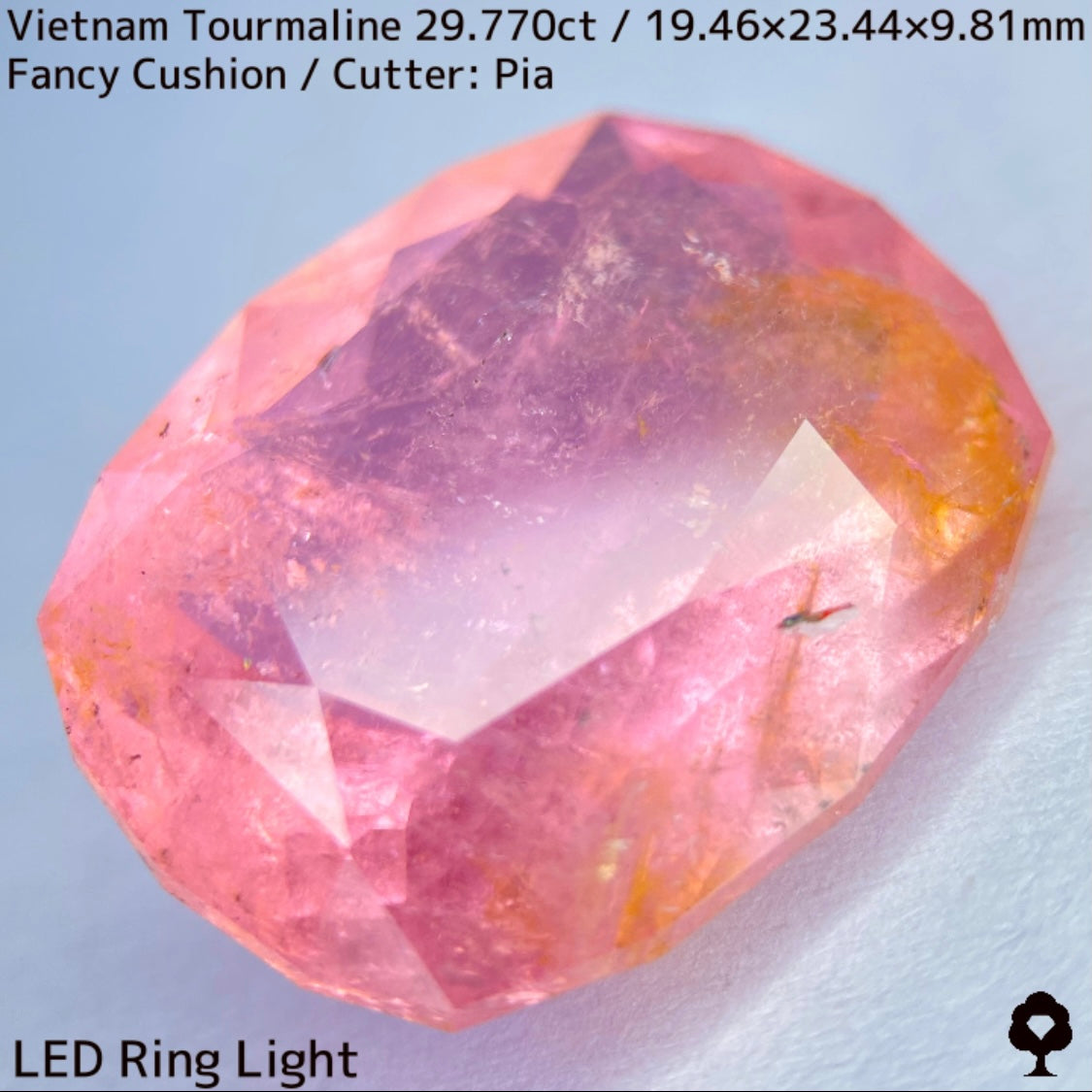 ベトナム産トルマリン29.770ct★華やかなベトナム産らしい桜満開巨石
