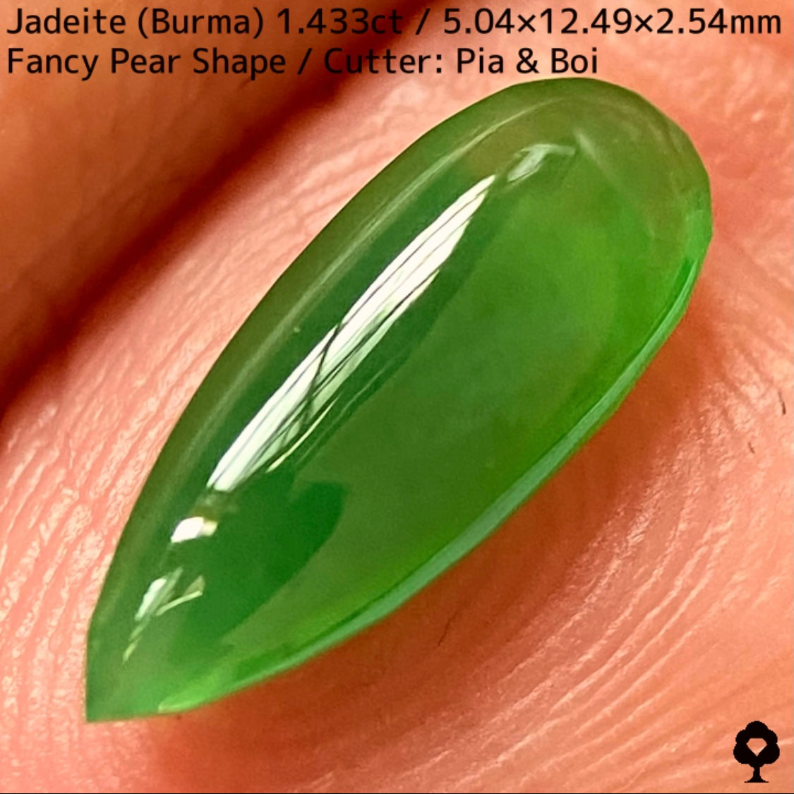 翡翠1.433ct★明るい美グリーンのマスターストーンはGTJならではのさりげなく輪郭が縁取られたツヤツヤファンシーペアシェイプ