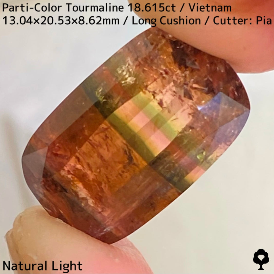 ベトナム産パーティカラートルマリン18.615ct★金屏風桜と夜桜を一石で楽しめる趣深いベトナム巨石