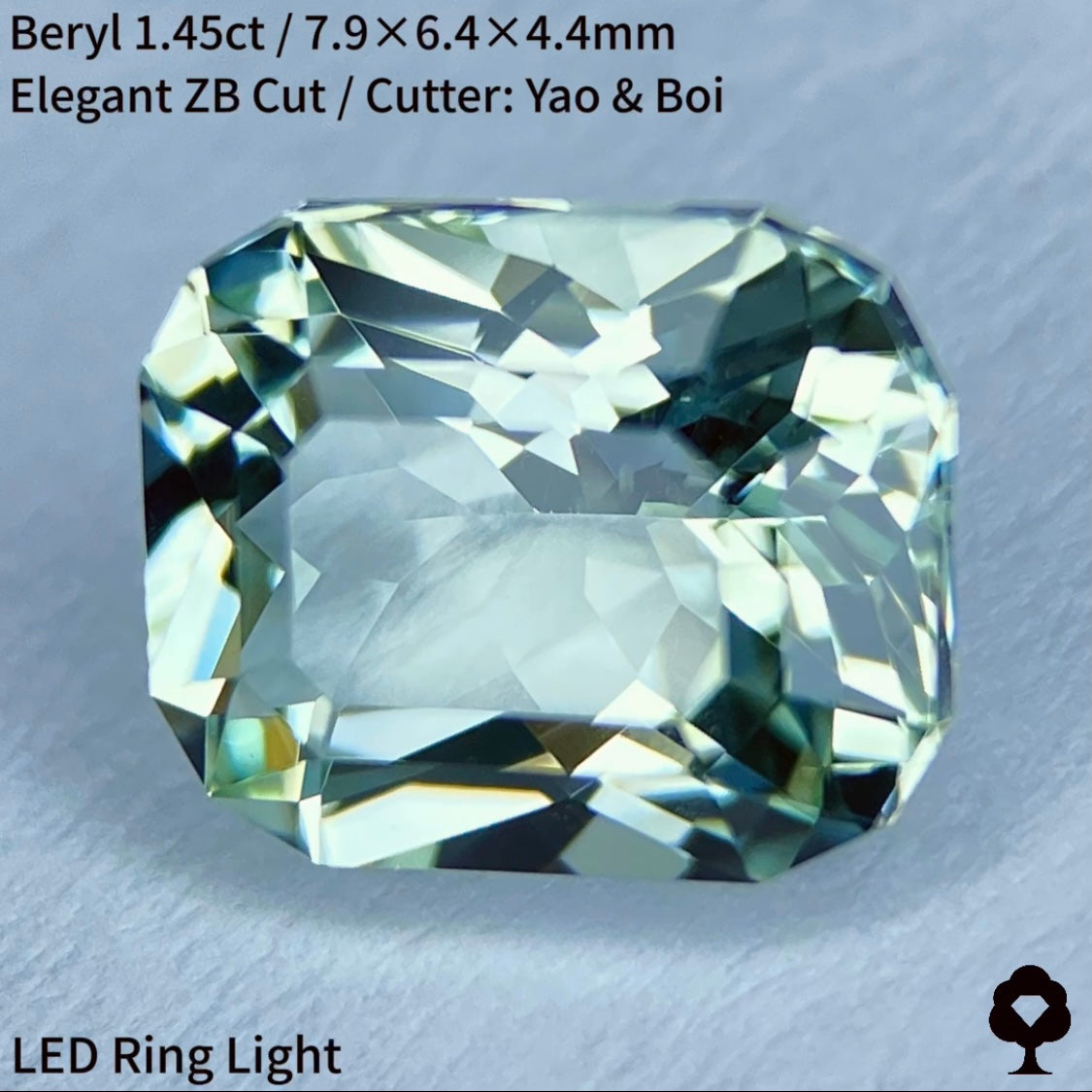 【ご当選者さま専用】勝手にチャットプレキャン🎁グリーンベリル1.45ct★2023.11.21