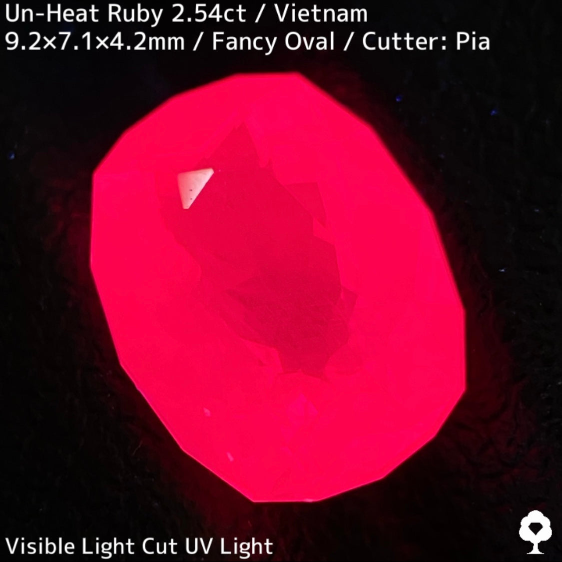 【ルビーフォーカス一級便作品】ベトナム産非加熱ルビー2.54ct