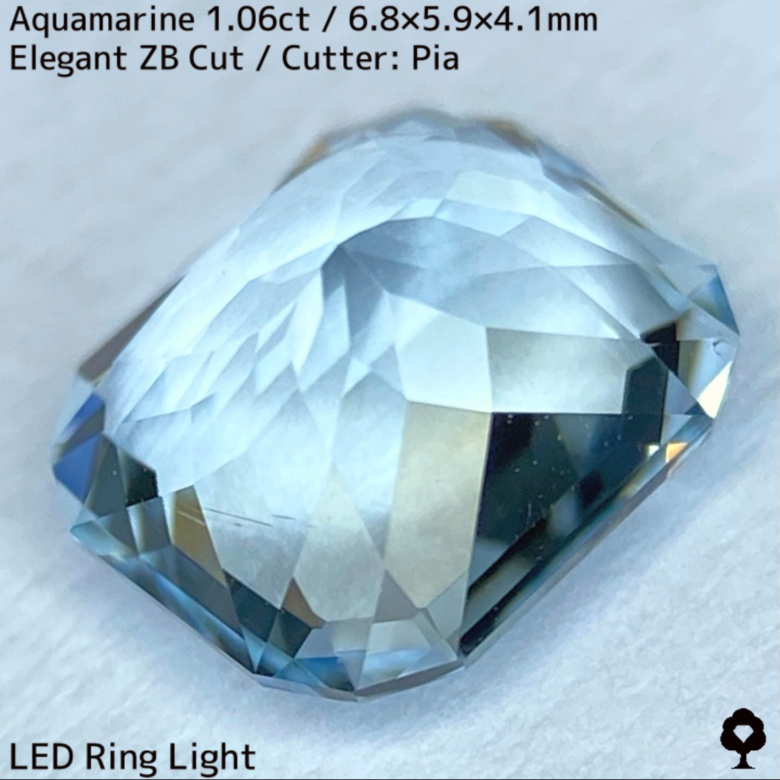 【お客さま専用】3月誕生石プライス★アクアマリン1.06ct★煌めき溢れるエレガントカットに宝石の形浮かぶZBカット