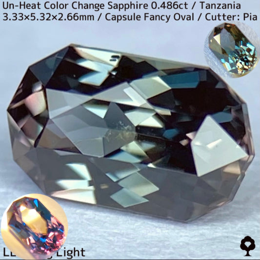 タンザニア産非加熱カラーチェンジサファイア0.486ct★深みの中に潜む多色感とゴールドシルクの銀河広がる