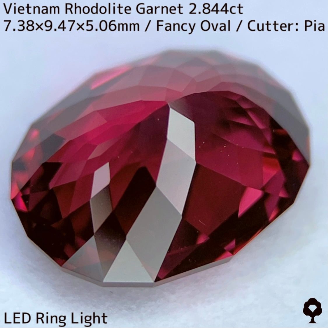 ベトナム産ロードライトガーネット2.844ct★ロードライトを愛する大御所がハマったベトナム産超美色