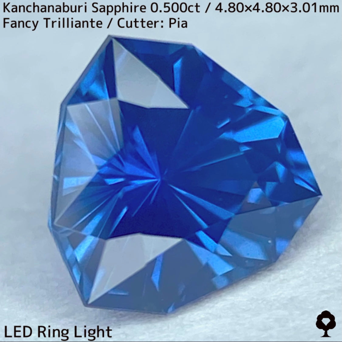 【GW特別企画★30%まほチケキャッシュバック】カンチャナブリー産サファイア0.500ct★シルキーでグリニッシュなカンチャブルーから鋭いナリカーの煌めき