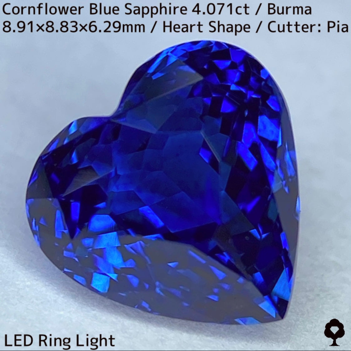 ビルマ産コーンフラワーブルーサファイア4.071ct★ロイヤルブルー寄りの濃いめ最高コーンフラワーブルーが美しすぎる超一級品