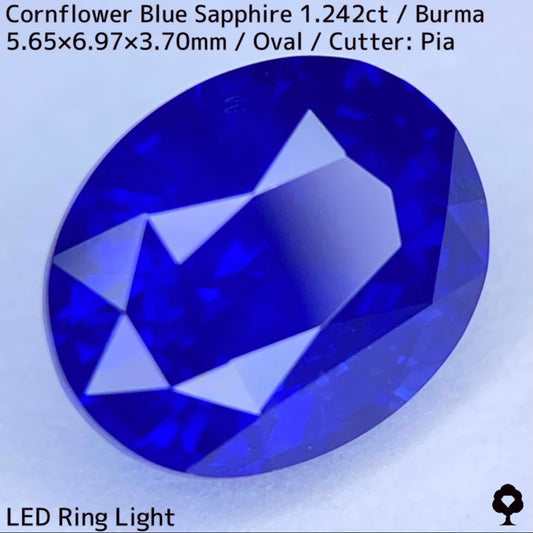 ビルマ産コーンフラワーブルーサファイア1.242ct★えげつない彩度のロイヤルとも言える超濃厚美色のシルキーコーンフラワー