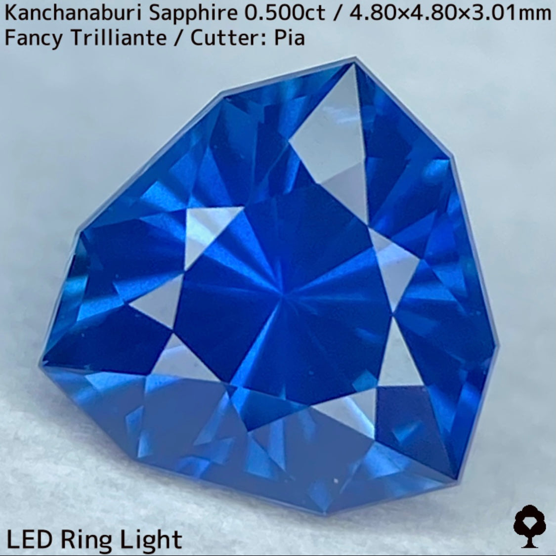 【GW特別企画★30%まほチケキャッシュバック】カンチャナブリー産サファイア0.500ct★シルキーでグリニッシュなカンチャブルーから鋭いナリカーの煌めき
