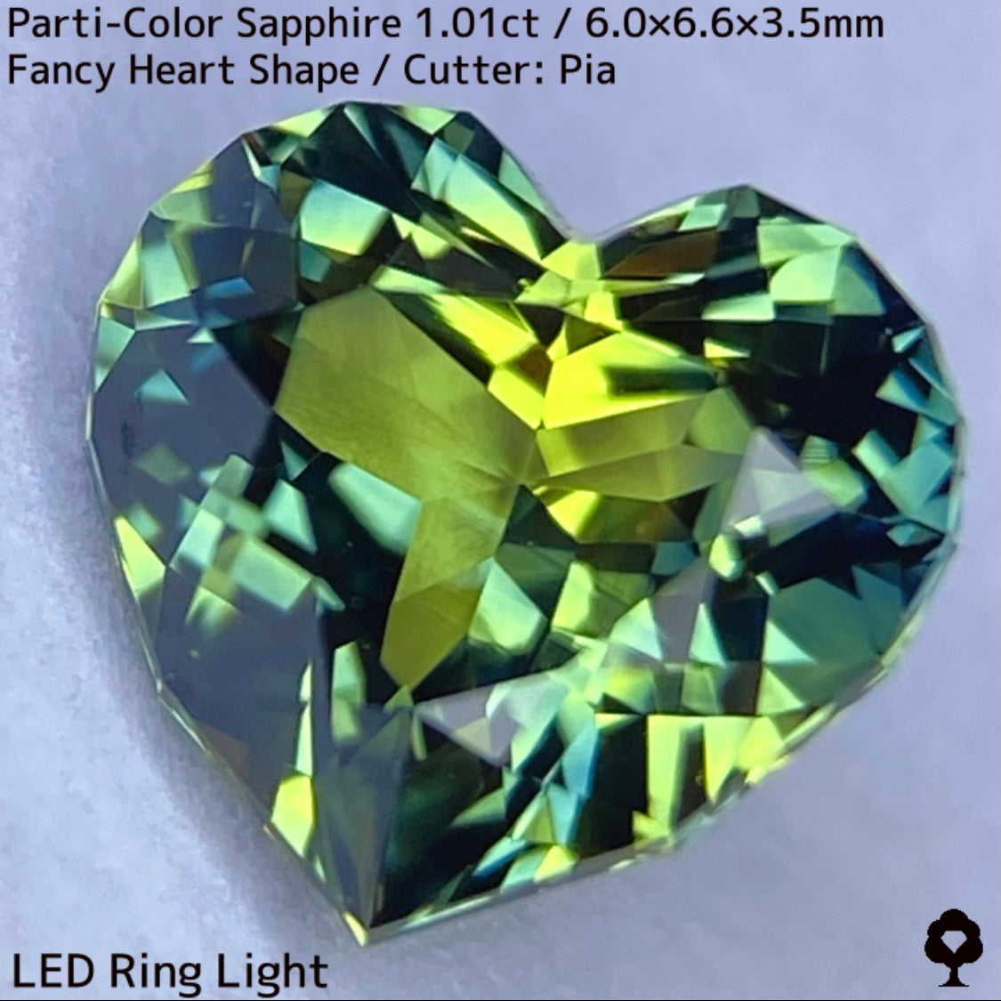 タイ産パーティカラーサファイア1.01ct★バンカチャらしい色合いのパーティ感たまらない希少なファンシーハートシェイプ