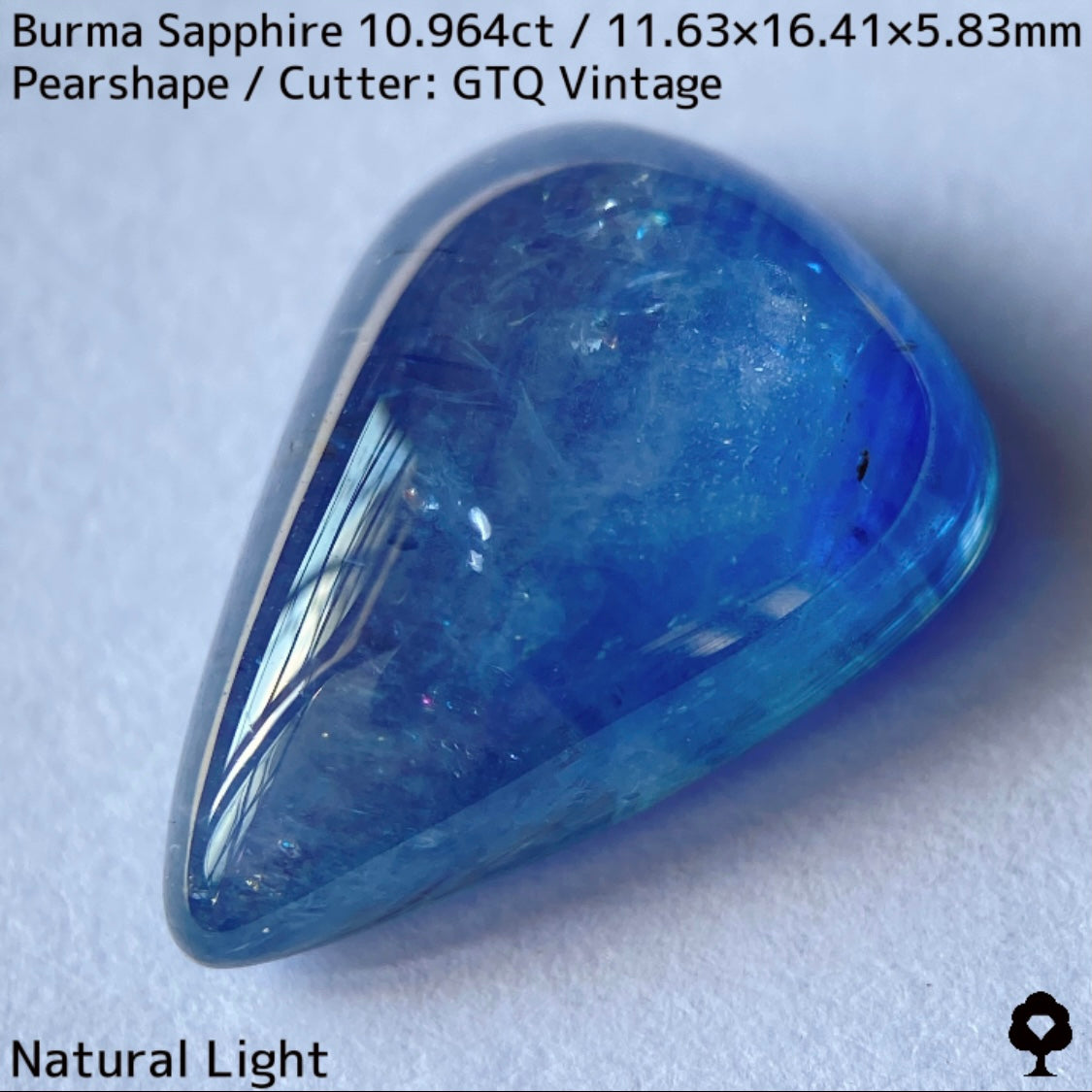 ビルマ産サファイア10.964ct★煌めく虹インクルと実はキャッツが出るなど面白さ詰まった秘蔵品