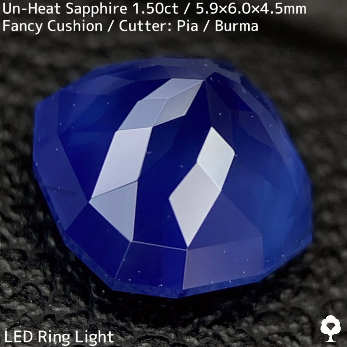 ビルマ産非加熱サファイア1.50ct★コランダムフォーカスプライス★2024.4.21 YouTubeライブ