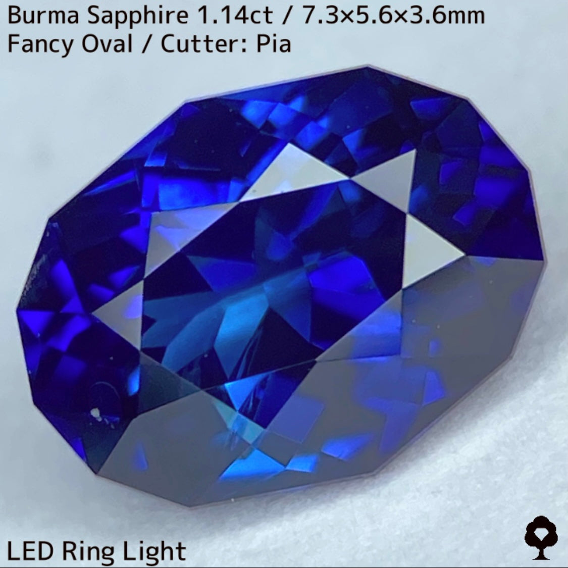 ビルマ産サファイア1.149ct★ロイヤル・コーン・ティールの3種のブルーが混ざり合うとてつもない美色