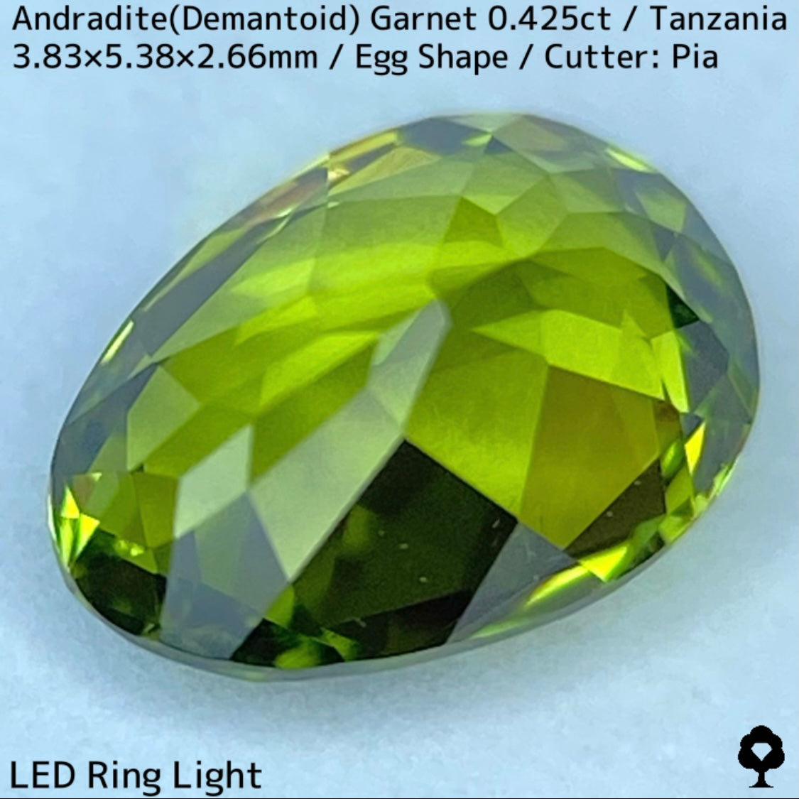 タンザニア産アンドラダイト(デマントイド)ガーネット0.425ct★程よい濃さの美グリーンから煌めき止まらないキュートなエッグシェイプ
