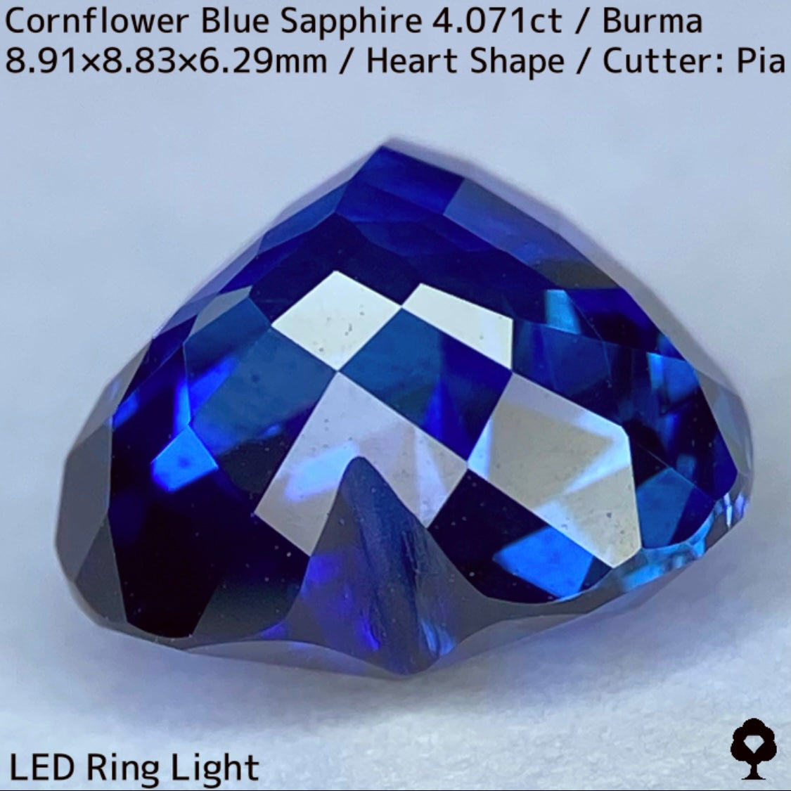 ビルマ産コーンフラワーブルーサファイア4.071ct★ロイヤルブルー寄りの濃いめ最高コーンフラワーブルーが美しすぎる超一級品