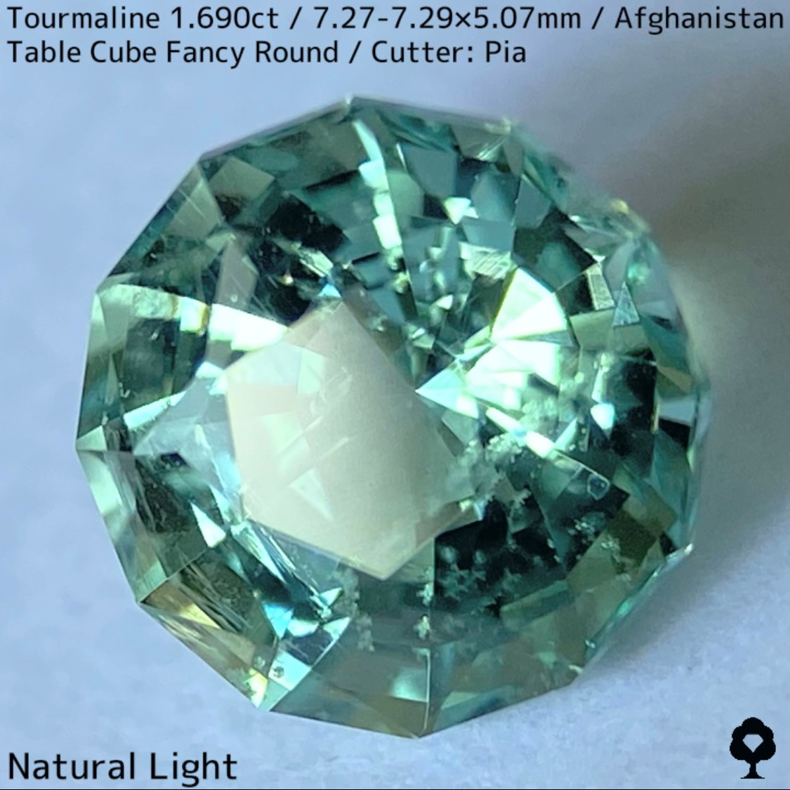 トルマリン1.690ct★美色ミントグリーンの煌めきがギラつくスパイダーカット