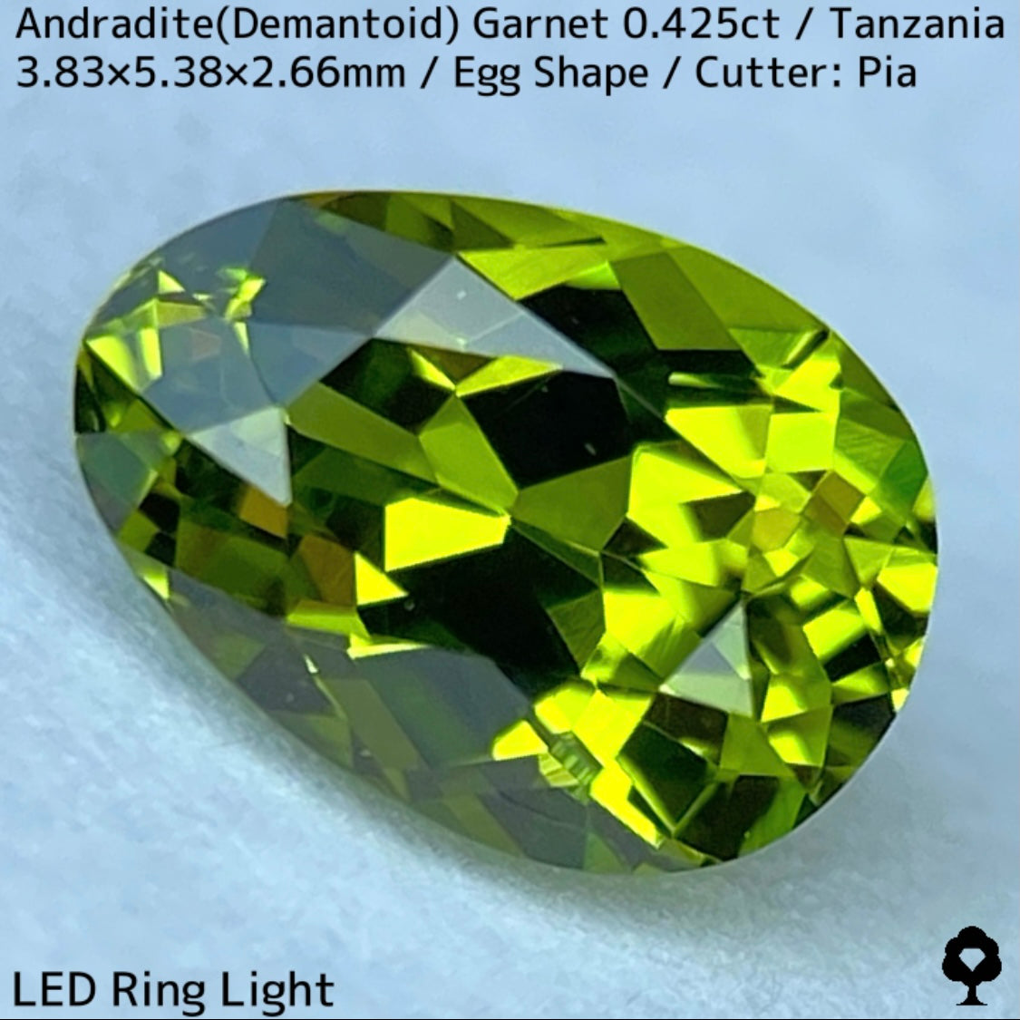 タンザニア産アンドラダイト(デマントイド)ガーネット0.425ct★程よい濃さの美グリーンから煌めき止まらないキュートなエッグシェイプ