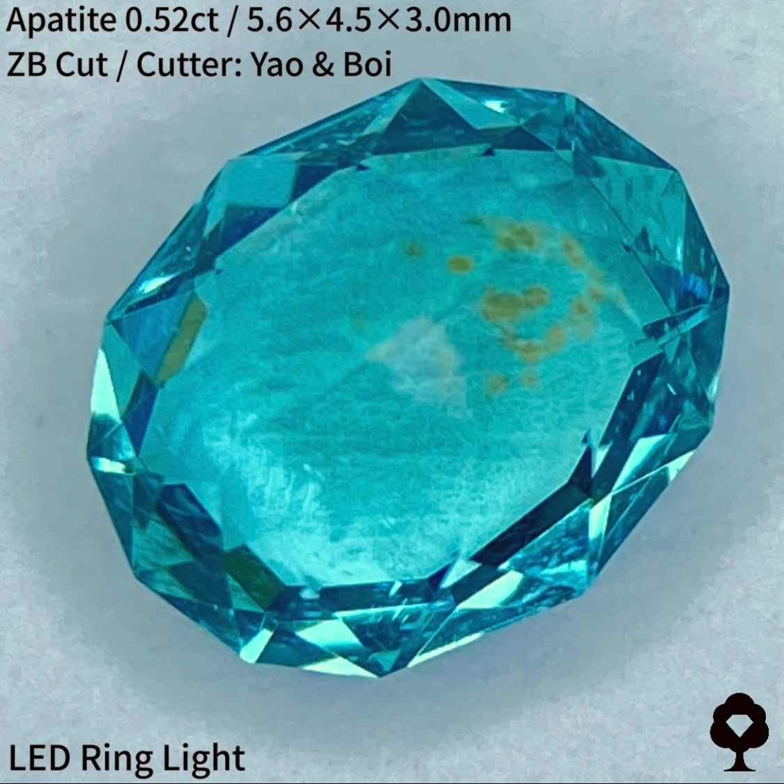 ネオン感あるマリンブルーに金木犀のようなインクルージョン★アパタイト0.52ct