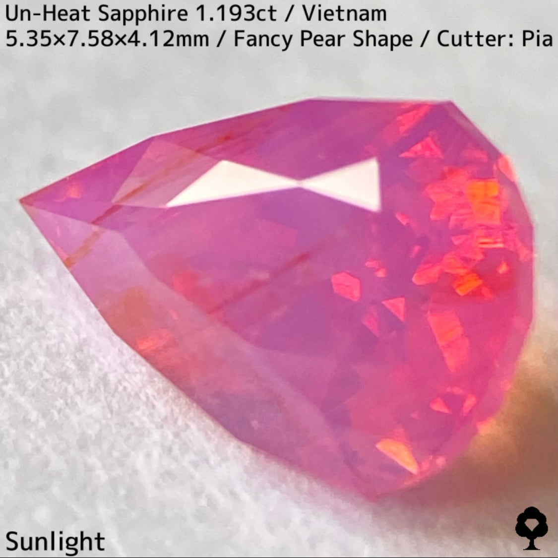 【ご当選者さま専用】ベトナム産非加熱サファイア1.193ct★コランダムフォーカス抽選販売プライス