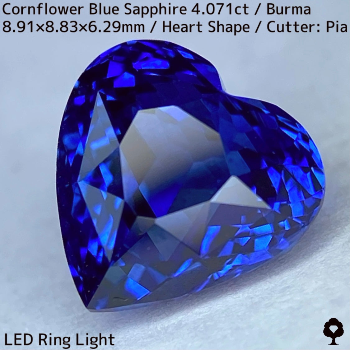 ビルマ産コーンフラワーブルーサファイア4.071ct★ロイヤルブルー寄りの濃いめ最高コーンフラワーブルーが美しすぎる超一級品