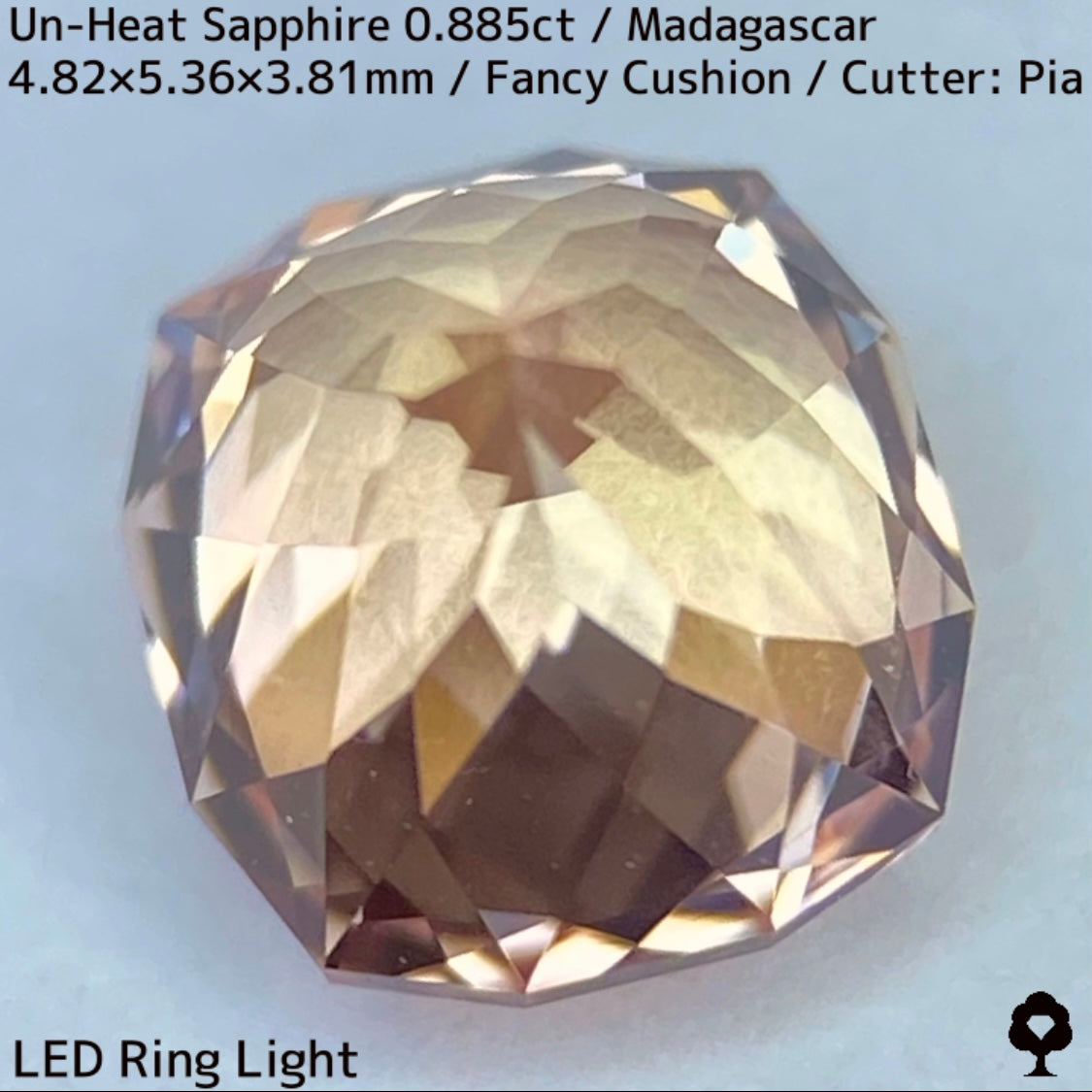 マダガスカル産非加熱サファイア0.885ct★インペリアルトパーズの様なシェリー感ある品と風格ある一石
