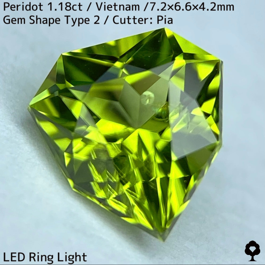 【ご当選者さま専用】ベトナム産ペリドット1.18ct★リリーパッド入り美色結晶の盾のような宝石形タイプ2