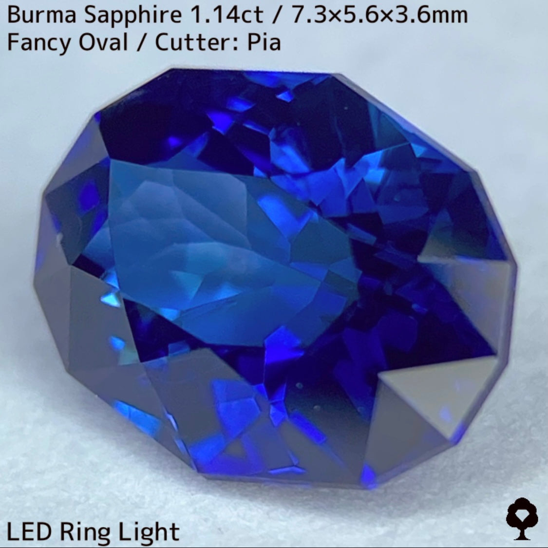 ビルマ産サファイア1.149ct★ロイヤル・コーン・ティールの3種のブルーが混ざり合うとてつもない美色
