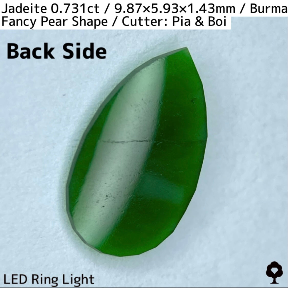 翡翠0.731ct★GTJ創業者大御所のセレクトのお手本翡翠に細やかな縁取り