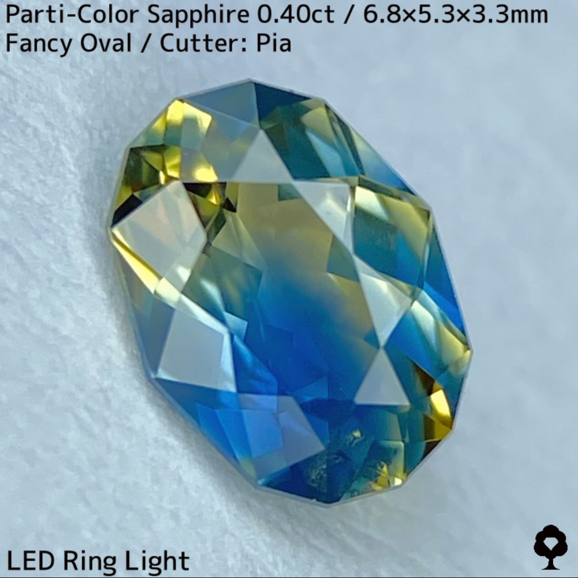 カンチャナブリー産パーティカラーサファイア0.40ct★鮮やかなイエローにシルキーブルーの色だまり