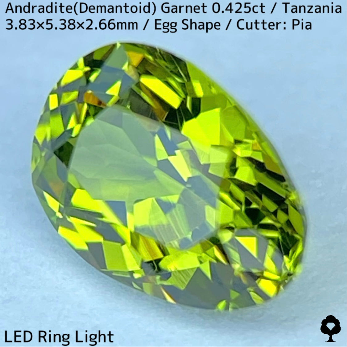 タンザニア産アンドラダイト(デマントイド)ガーネット0.425ct★程よい濃さの美グリーンから煌めき止まらないキュートなエッグシェイプ