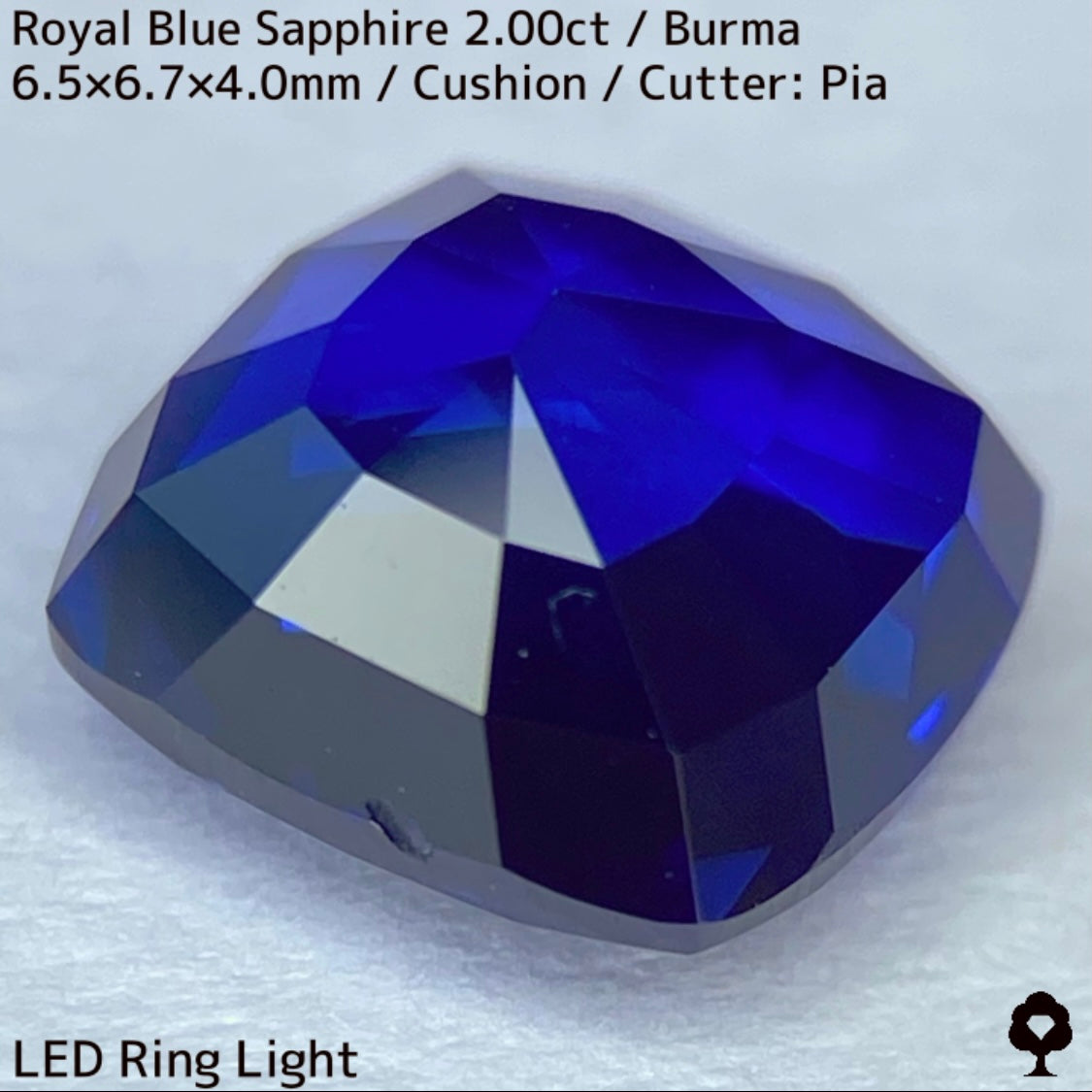 【カットを進めるか選択出来る】ビルマ産ロイヤルブルーサファイア2.00ct★超美色美結晶の希少2.00ctであの大御所が一旦ストップした悩み中だからこその特別プライス