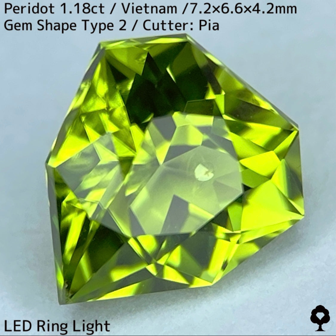 【ご当選者さま専用】ベトナム産ペリドット1.18ct★リリーパッド入り美色結晶の盾のような宝石形タイプ2