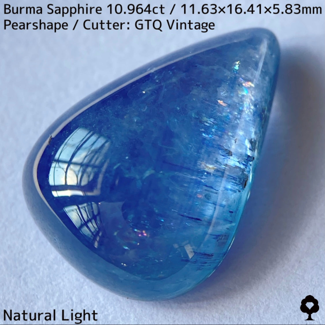 ビルマ産サファイア10.964ct★煌めく虹インクルと実はキャッツが出るなど面白さ詰まった秘蔵品